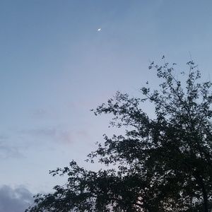 Meet your Posher, GiGi